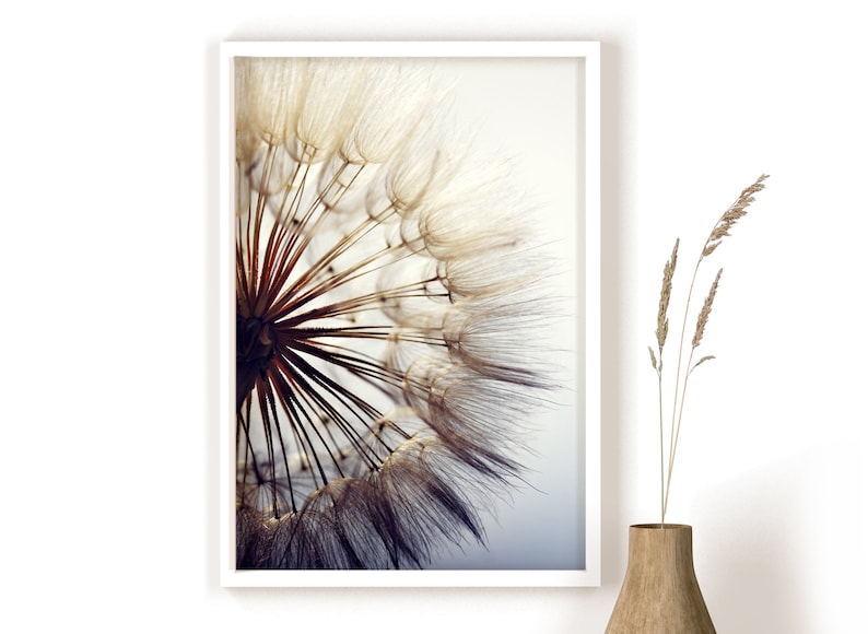 May include: A close-up of a dandelion seed head with delicate white hairs against a soft blue background.