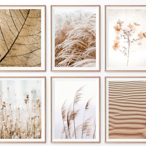 Neutrales Print 6er Set, Wandkunst Bündel, Boho Dekor, Pampas, Schilf, Hortensie, Sand, Strand, getrocknetes Blatt, neutrale Töne, beruhigend, erdig