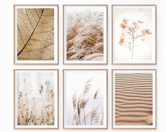 Neutral Print Set of 6, Wall Art Bundle, Boho Decor, Pampas, Reeds, Hydrangea, Sand, Beach, Dried Leaf, Neutral Tones, Calming, Earthy