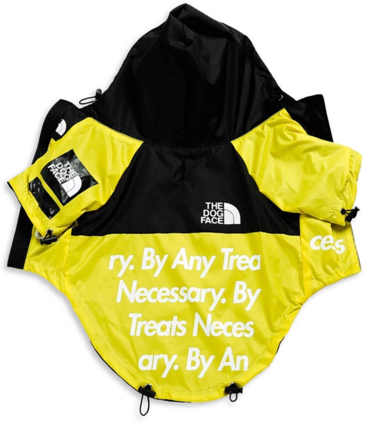 Are Dog Jackets Necessary