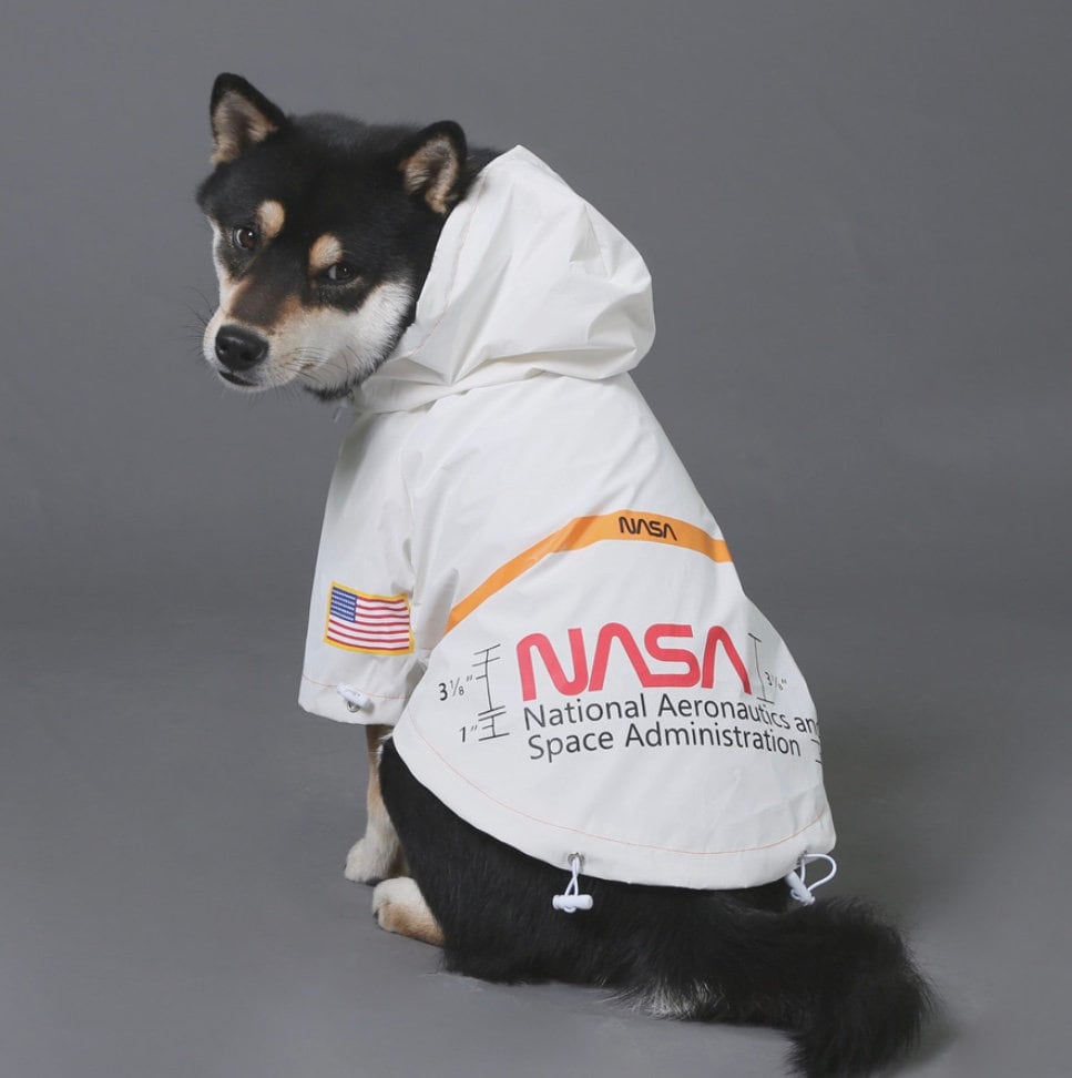 NASA Dog Rain Jacket Fluorescent Etsy Canada