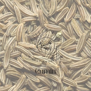 Cumin Seed Powder Organic Cooking Spice