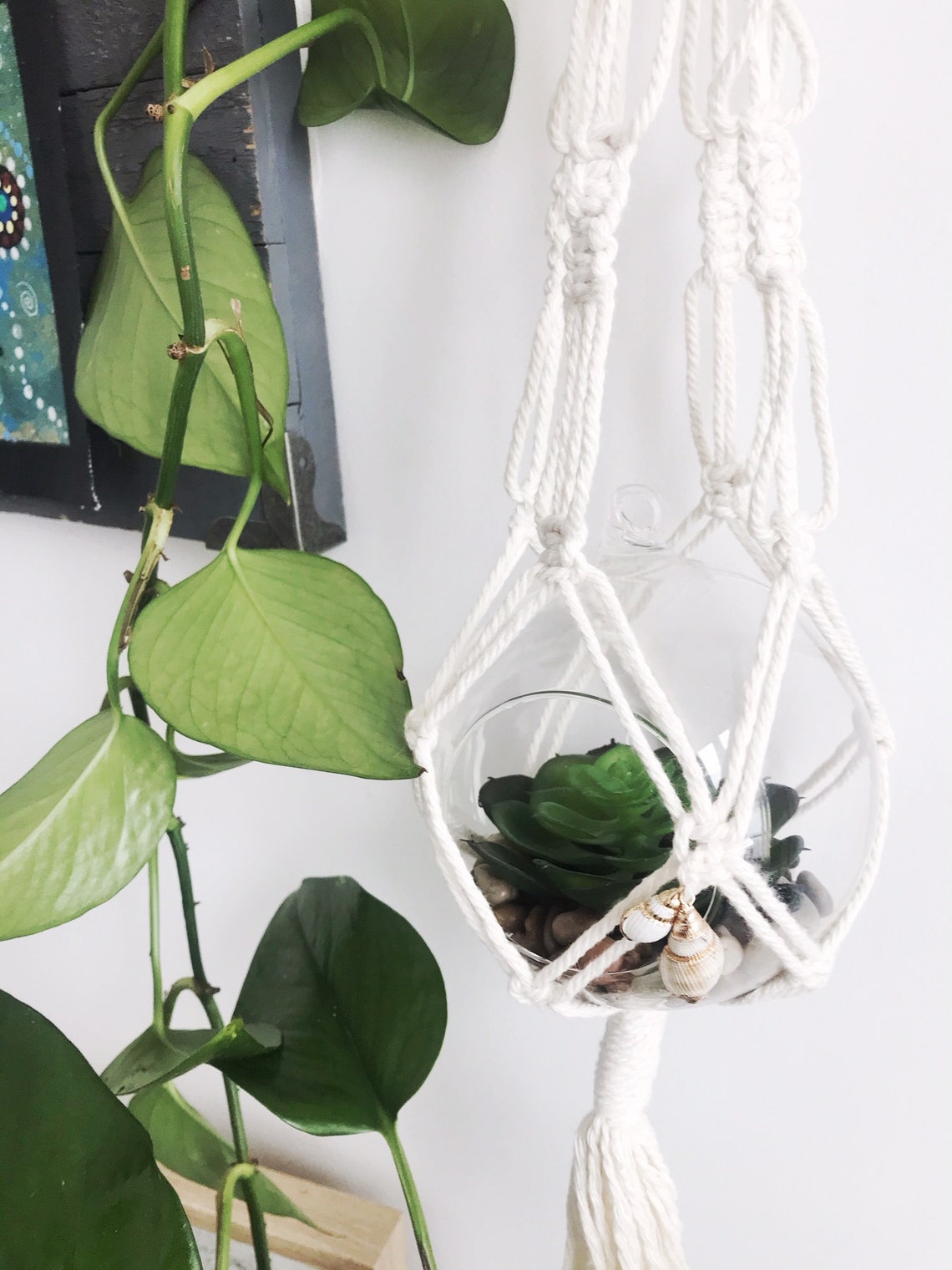 DIY Macrame Plant Hanger Kit Ecofriendly Craft Kit Etsy