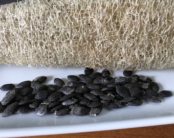 Lufa Luffa aegyptiaca 15 semillas seeds Lufa Luffa aegyptiaca 15 semillas seeds
