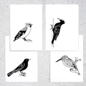 Kaartenset - vogels