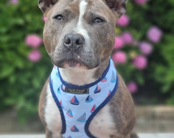Puede incluir: Un perro gris y blanco con un arnés azul claro con un patrón de veleros. El arnés tiene un ribete azul marino y el texto "Posh Paws Boutique". El fondo borroso muestra flores rosas.