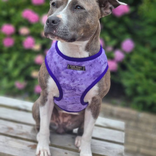 Purple Dog Harness Etsy