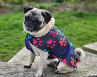 Manteau pour chien avec pattes hotsell