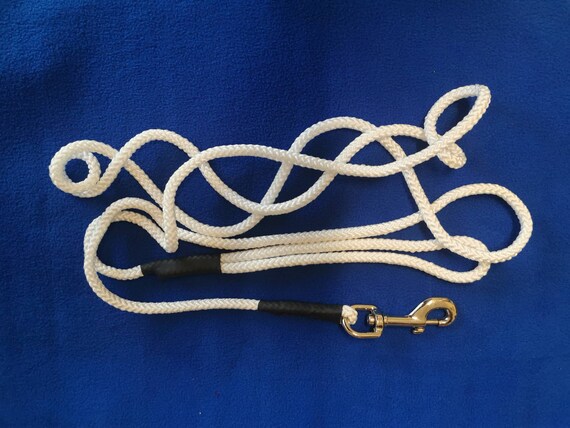 Long hot sale dog rope