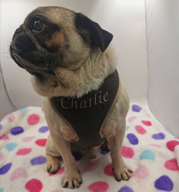 dog harness personalised