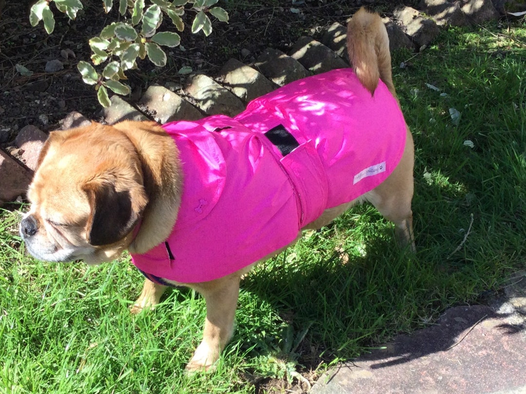 Lightweight Spring / Summer Waterproof Handmade Pink Dog Coat in Carry Bag Etsy