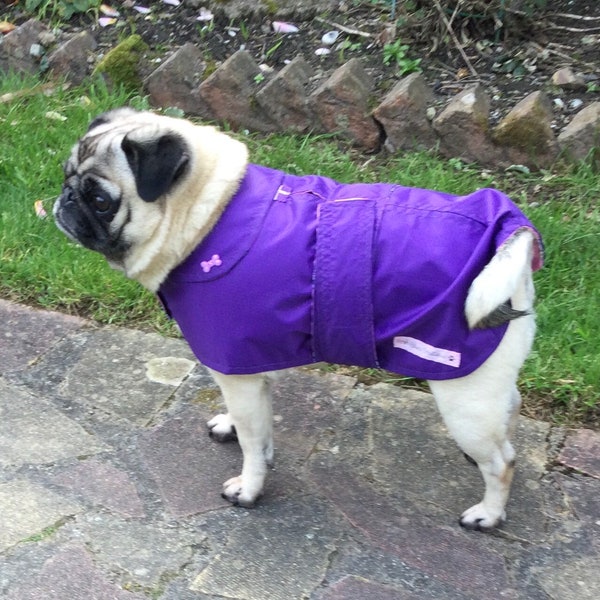 Manteau de chien violet imperméable à la main léger printemps / été dans un sac de transport