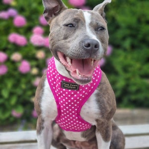 Pink Polka Dot Dog Harness