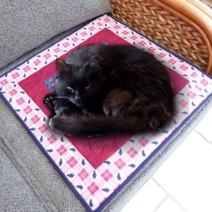 Peut inclure: Un chat noir enroulé et dormant sur un coussin matelassé à motifs rouge, blanc et bleu.