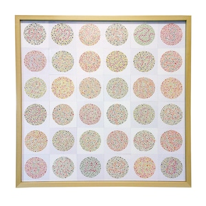 Ishihara / Giapponese Color Blindness Test Cards Wall Art