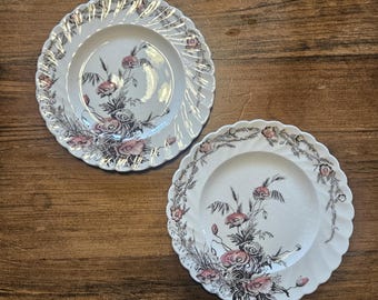 Royal Staffordshire Harvest Dessert Plate - 6 1/2 Inch Diameter Bread and Butter Plates - Set of 2 - 1940s Dinnerware
