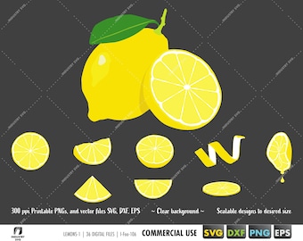 Lemon svg Bundle, Lemon Slice Clipart png, Frucht svg, lime/lemon Summer Vektordatei für Cricut, Silhouette, eps, dxf, svg, lemon logo svg