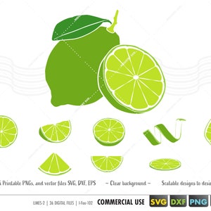pakiet svg limonki svg, limonka plasterek clipart png, owoce svg, limonka/cytryna lemoniada svg, pliki wektorowe lato dla cricut, sylwetka, eps, dxf, svg