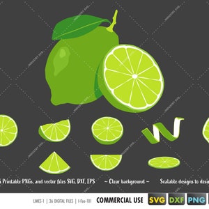 lime svg bundle, lime slice clipart png, fruit svg, lemonade svg, lime/lemon Summer vector file for cricut, silhouette, eps, dxf, svg