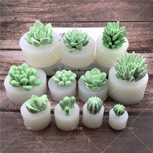 MOLD Succulent - Plant Silicone Fondant Mold - 3D Succulent Candle - 3D Succulent Plant Mold - Succulent Fondant Mold - Chocolate Mold