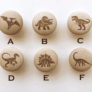 Può includere: Sei pomelli per armadi in legno con disegni di dinosauri incisi. I pomelli presentano un Pterodattilo, Triceratopo, T-Rex, Velociraptor, Stegosauro e Brontosauro. Ogni pomello ha un diametro di circa 3,8 cm.
