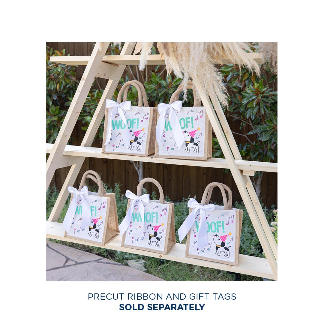 Medium Recycled Gift Bag With Handles | 10.5x4.75x10.5 Inch Sunny Pattern Reusable Party Bag