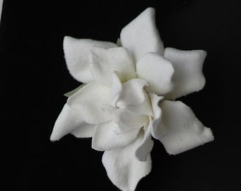 White boutonniere for men. Gardenia