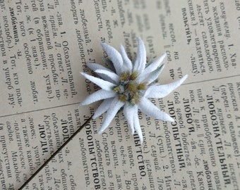 Edelweiss  boutonniere, best man gift