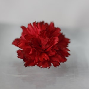 Boutonniere for men, red carnation pin, ohio state