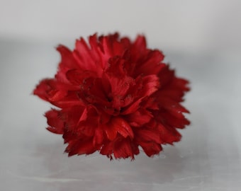 Boutonniere for men, red carnation pin, ohio state