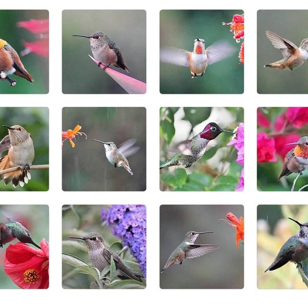 Memory Game, Hummingbird Photos, 24 cards total, 12 different photos, 3x3" each