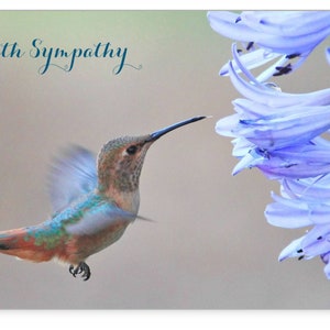 Sympathy Card 5x7 Hummingbird Photo