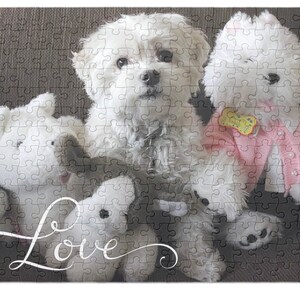 Jigsaw  Puzzle