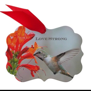 Metal Ornament,Hummingbird Photos,3x4&quot;,Ribbon attached