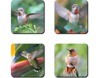 Set of 4 Coasters, Hummingbirds or Blossoms