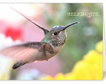 Birthday Card or Magnet, Hummingbird Photo
