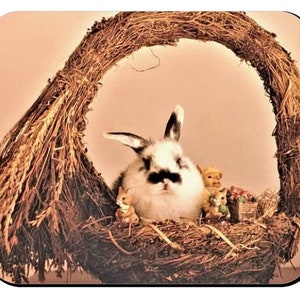 Mousepad, Rabbit in a basket, 9x7&quot;