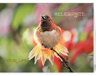 Birthday Greetings Card 5x7 Hummingbird Photo