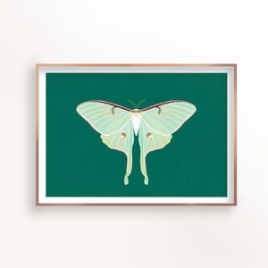Luna Moth Print, Moth Art Print, Butterfly Wall Art, Insect Art, Moon Moth Illustration, gift for nature lover, Digital Download Printable