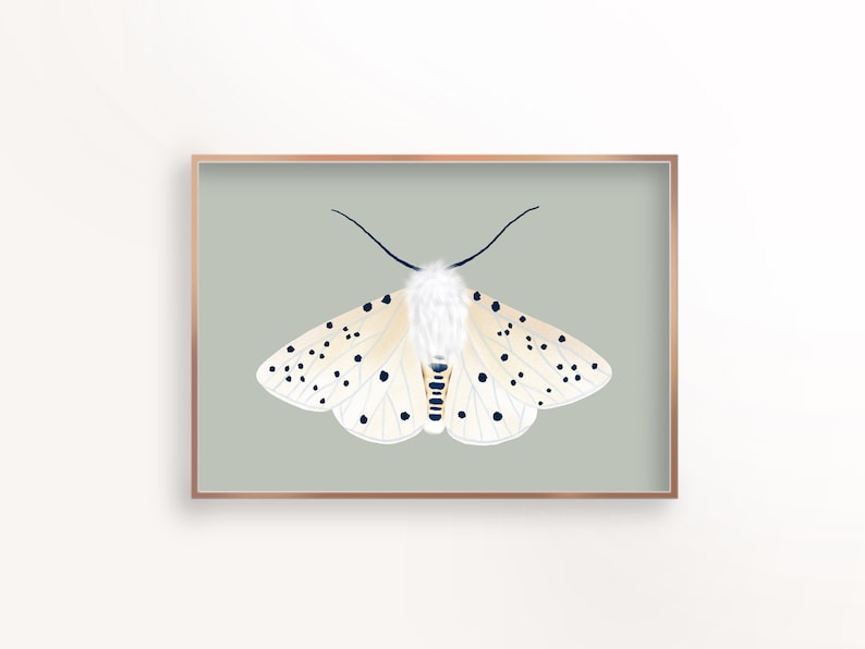 White Ermine Moth, Instant Dowload, Butterfly Print, Insect Printable, Moth Illustration, Moth Wall Art, Fluffy Speckled Moth, 18x24, 8x10 image 1