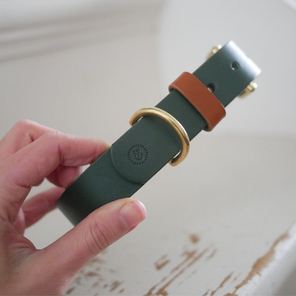 Dark Green and Tan Dog Collar, Vegetable Tanned Leather with Solid Brass Fittings