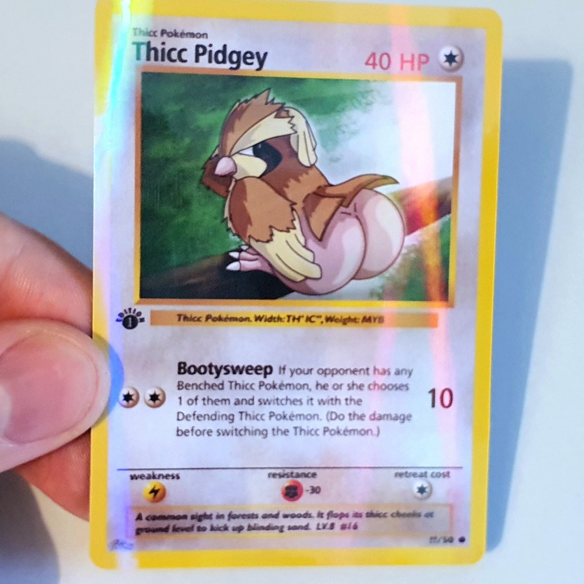 Thicc Pidgey Holographic Custom Made Pokemon Card | Etsy