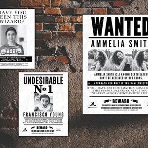 May include: Four black and white wanted posters with text and images. The posters are on a brick wall. The posters say "Have you seen this wizard?", "Undesirable No. 1", "Wanted Ammelia Smith", and "Have you seen this cowgirl?"