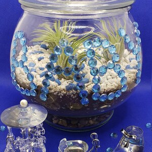 Its a BABY BOY Terrarium KIT