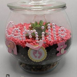Its a BABY GIRL Terrarium KIT