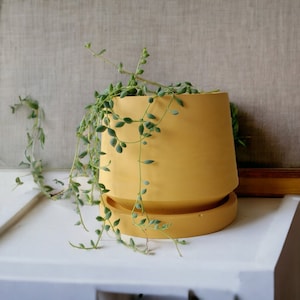 concrete planter, planter with sauce, yellow pot, unique gifts, indoor planter, housewarming gifts, gift for her image 5