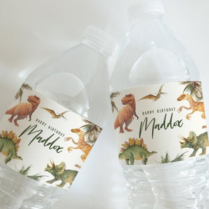 Dinosaur Birthday Water Bottle Label - Jurassic Party Decor - Trex Birthday Personalized Dino Drink Wraps - Instant Download
