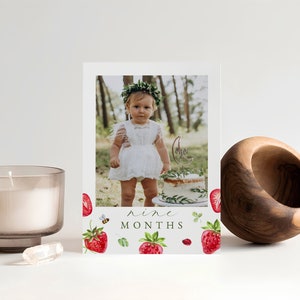 Strawberry Theme 1st Birthday Photo Banner - Pre-Strung Monthly Milestone Garland For 4x6 Photos
