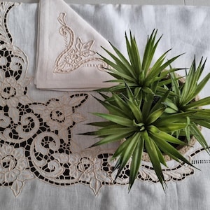 Puede incluir: Mantel de mesa de lino blanco con un delicado borde de encaje floral bordado. Una planta verde en maceta se encuentra sobre el mantel.