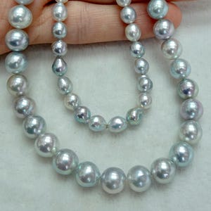 Puede incluir: Un collar de doble hebra con perlas lustrosas de color azul grisáceo claro de varios tamaños. Las perlas están ensartadas en un patrón graduado, con cuentas más grandes colocadas hacia el centro y cuentas más pequeñas hacia los extremos.